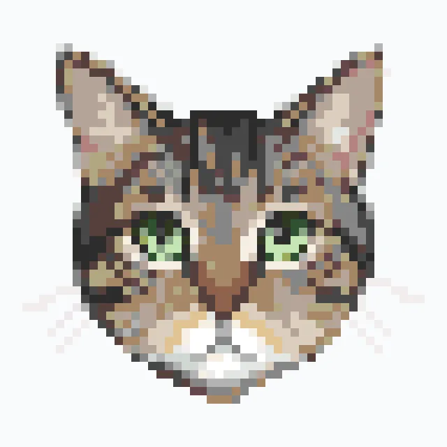 虎斑猫咪